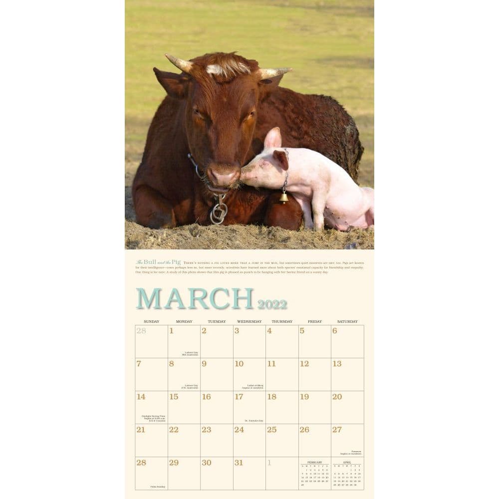 Unlikely Friendships 2022 Wall Calendar - Calendars.com