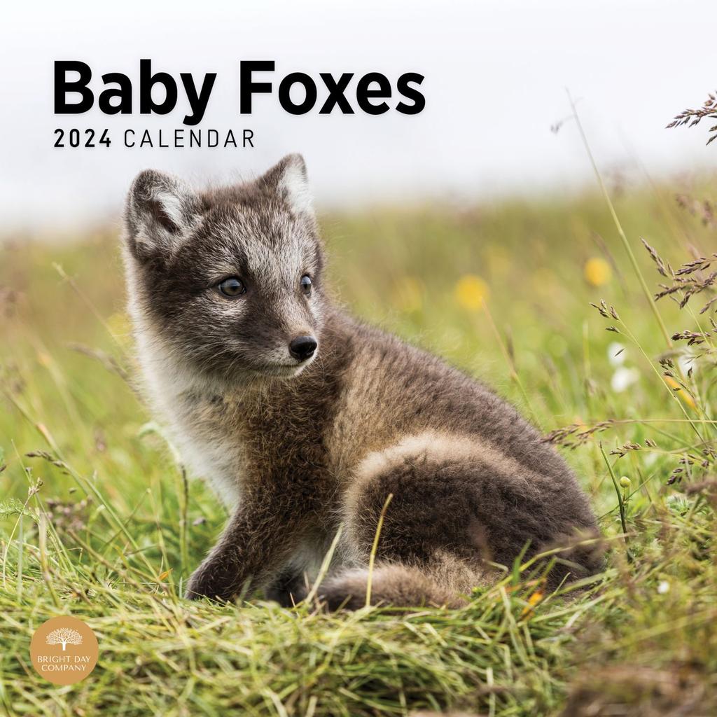 Baby Foxes 2024 Wall Calendar Main Product Image width=&quot;1000&quot; height=&quot;1000&quot;