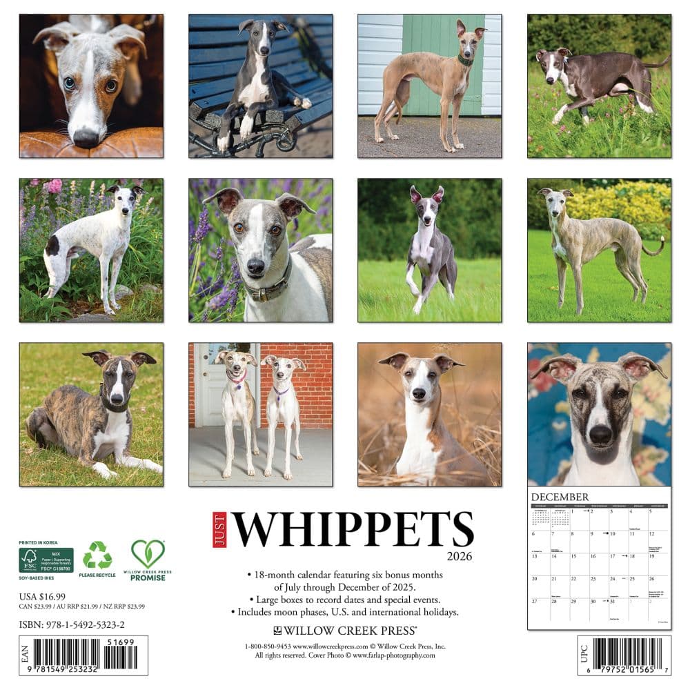 Whippets 2026 Wall Calendar First Alternate Image