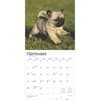 image Puppies 2025 Wall Calendar Third Alternate Image