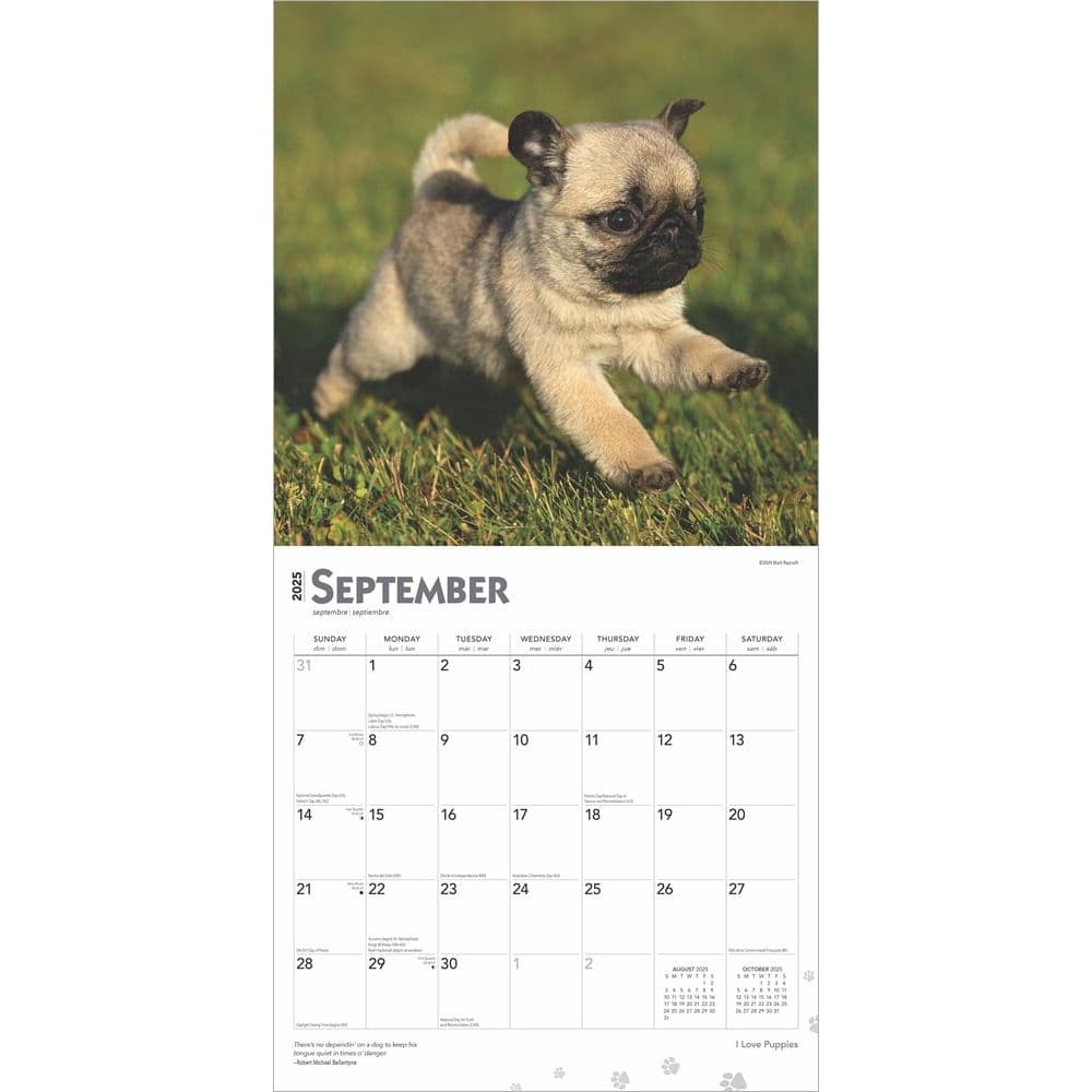 Puppies 2025 Wall Calendar Third Alternate Image