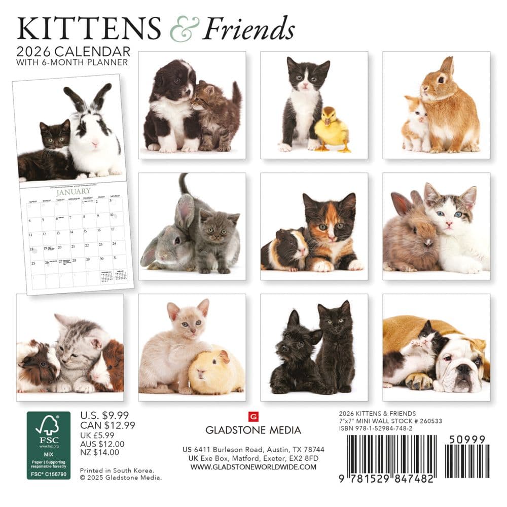 Kittens and Friends 2026 Mini Wall Calendar First Alternate Image