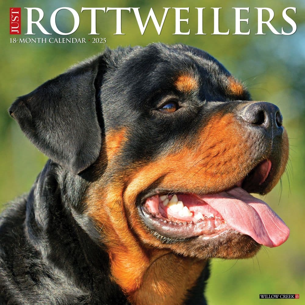 Rottweilers Just 2025 Wall Calendar