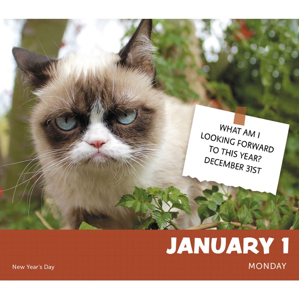 Grumpy Cat 2024 Desk Calendar Calendars com