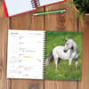 image What Horses Teach Us 2026 Engagement Planner Second Alternate Image