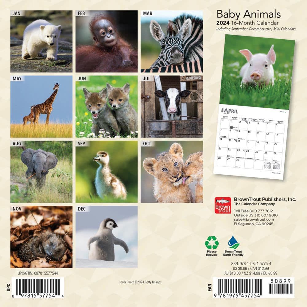 Baby Animals 2024 Mini Wall Calendar First Alternate Image width=&quot;1000&quot; height=&quot;1000&quot;