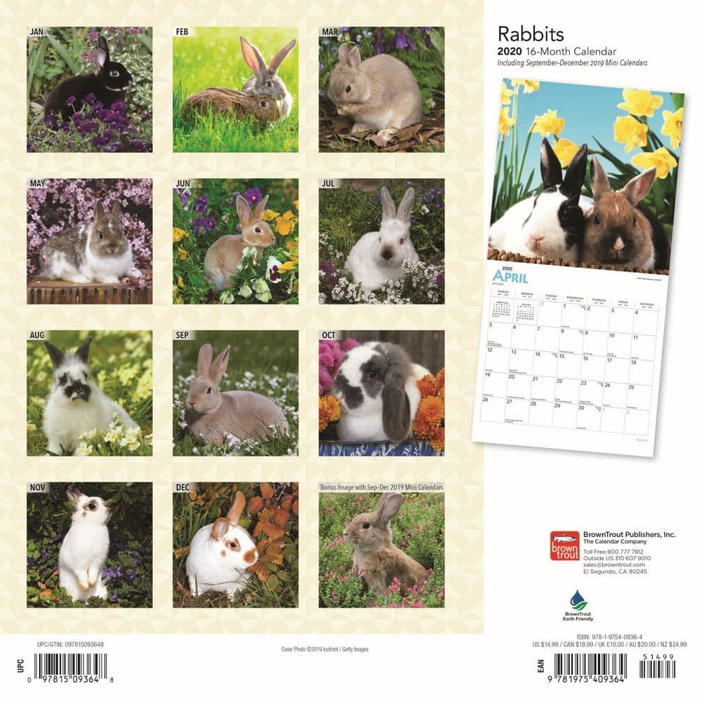 Rabbits Wall Calendar