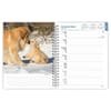 image Golden Retrievers 2025 Engagement Planner Second Alternate Image