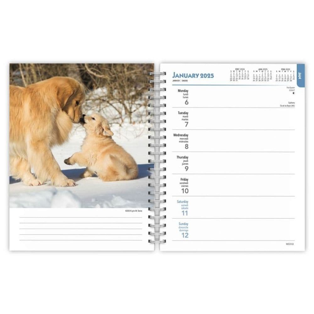 Golden Retrievers 2025 Engagement Planner Second Alternate Image