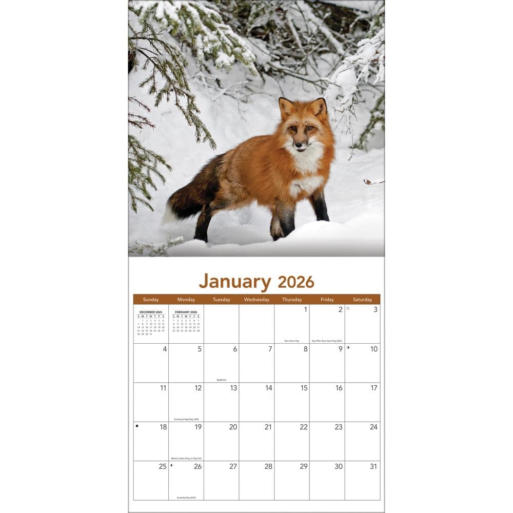 Wildlife 2026 Wall Calendar_ALT3