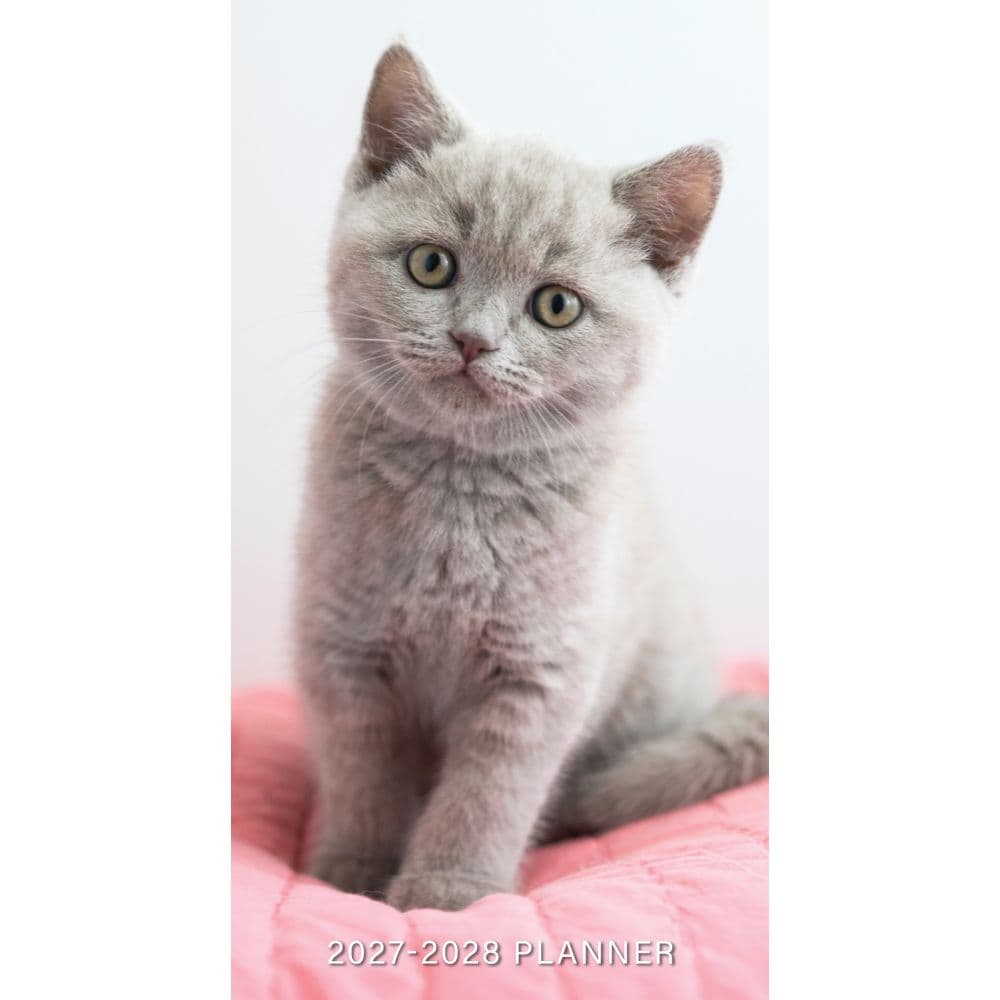 Cute As A Kitten 2027 2-Year Pocket Planner 
Main Product
Image