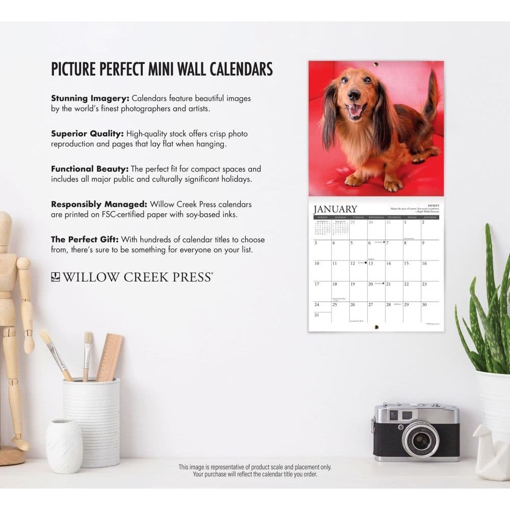 Cow Yoga Mini Wall Calendar