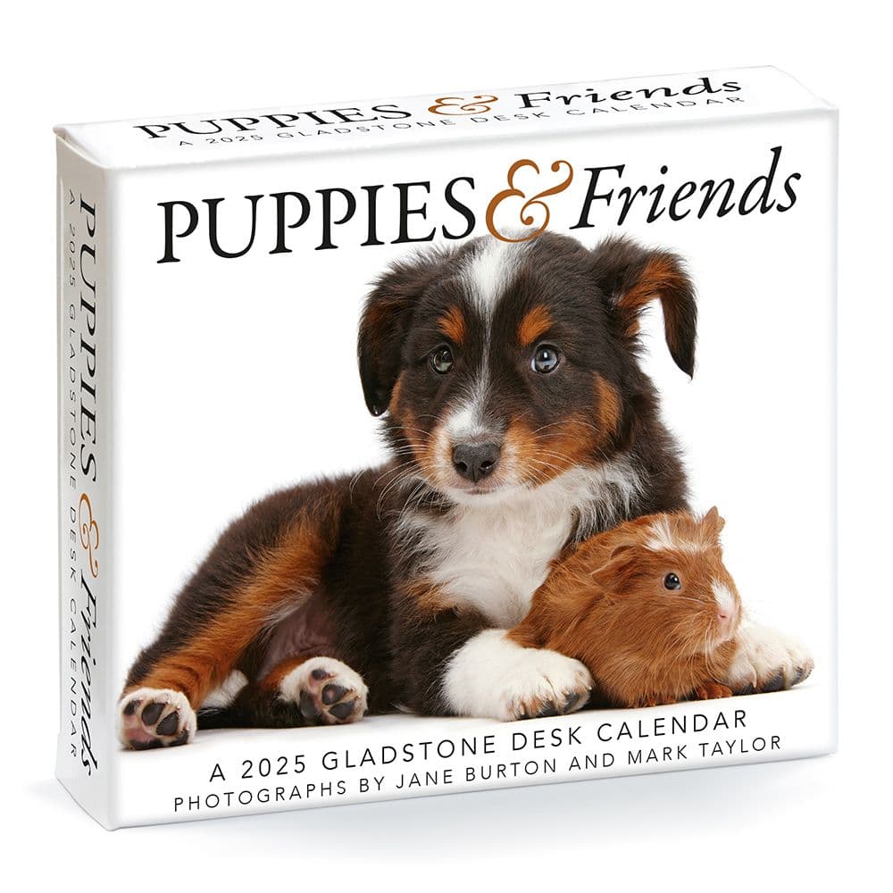 Puppies and Friends 2025 Desk Calendar Main Image