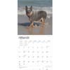 image Australian Cattle Dogs 2025 Wall Calendar First Alternate Image width=&quot;1000&quot; height=&quot;1000&quot;