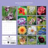 image Beauty of Flowers 2026 Wall Calendar First Alternate Image