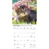 image Love of Kittens 2026 Mini Wall Calendar Fourth Alternate Image