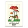 image Mushrooms 2024 Poster Wall Calendar Main Product Image width=&quot;1000&quot; height=&quot;1000&quot;