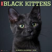 image Black Kitties 2026 Wall Calendar  Main Image