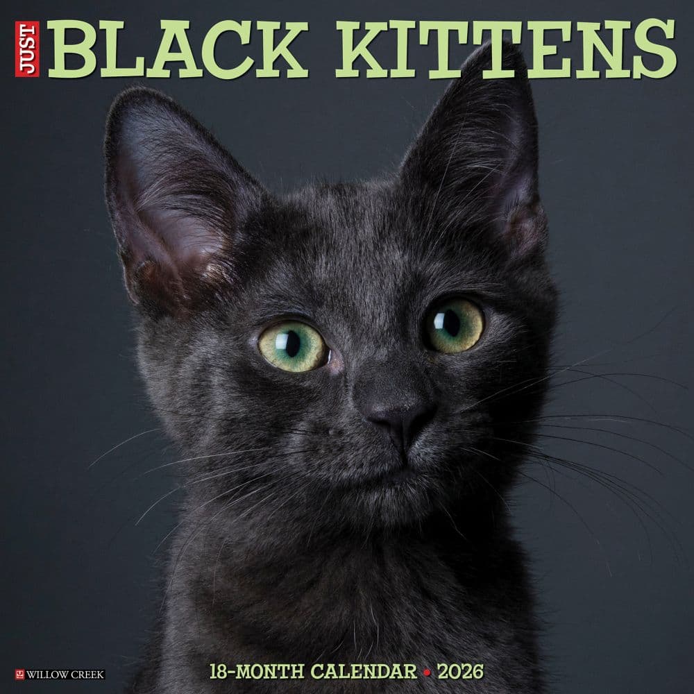 Black Kitties 2026 Wall Calendar  Main Image