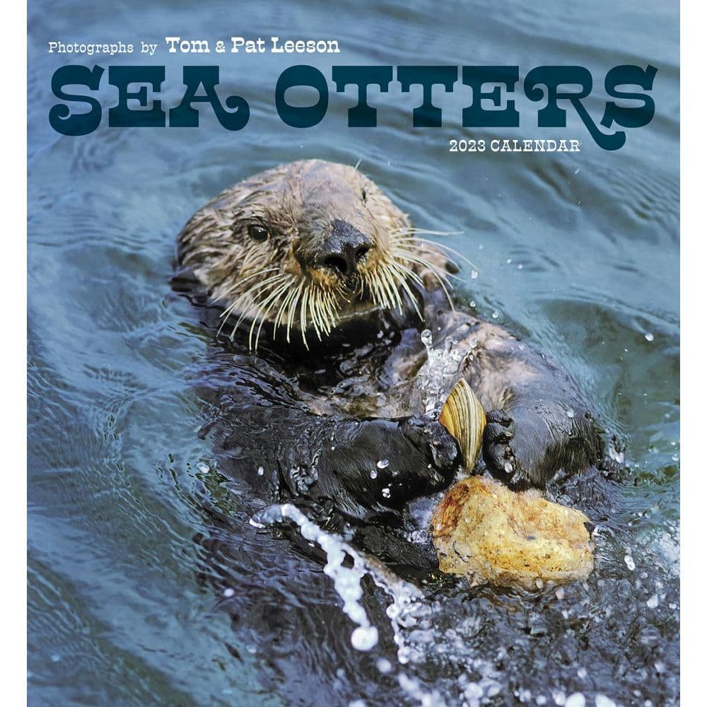 Otter Calendar 2023 Sea Otters Photographs By Tom And Pat Leeson 2023 Wall Calendar - Calendars .Com