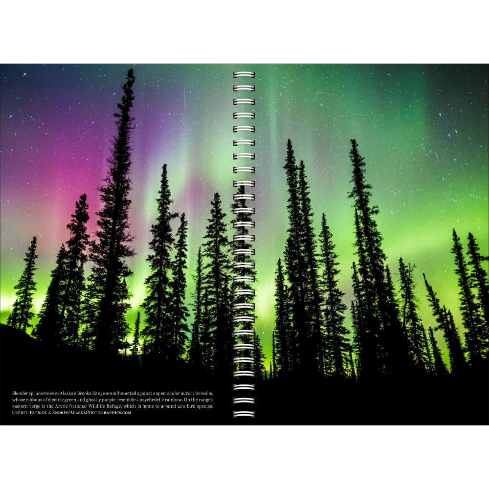 Audubon 2027 Planner Third Alternate Image