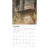 image White Tailed Deer 2024 Wall Calendar Second Alternate Image width=&quot;1000&quot; height=&quot;1000&quot;