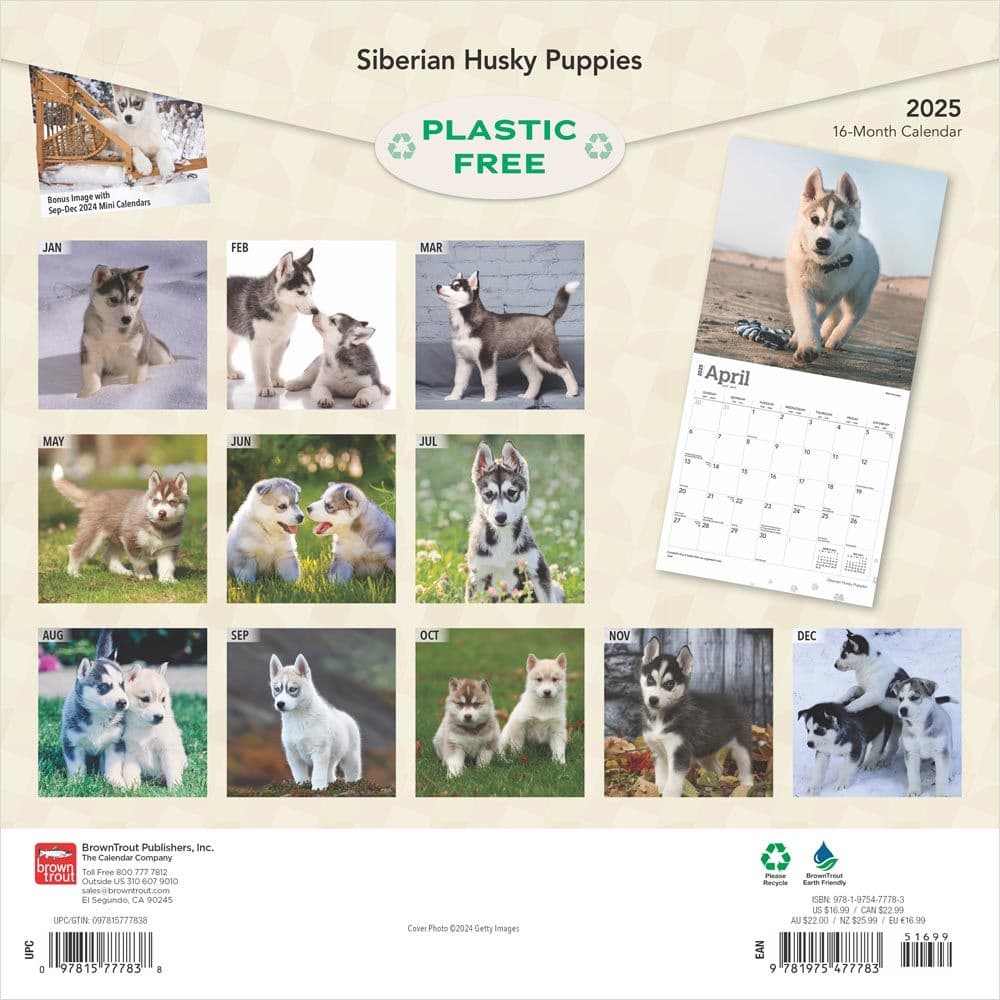 Siberian Husky Puppies 2025 Wall Calendar First Alternate Image width=&quot;1000&quot; height=&quot;1000&quot;