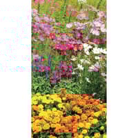 image Garden 2027 2 Year Pocket Planner Main Image