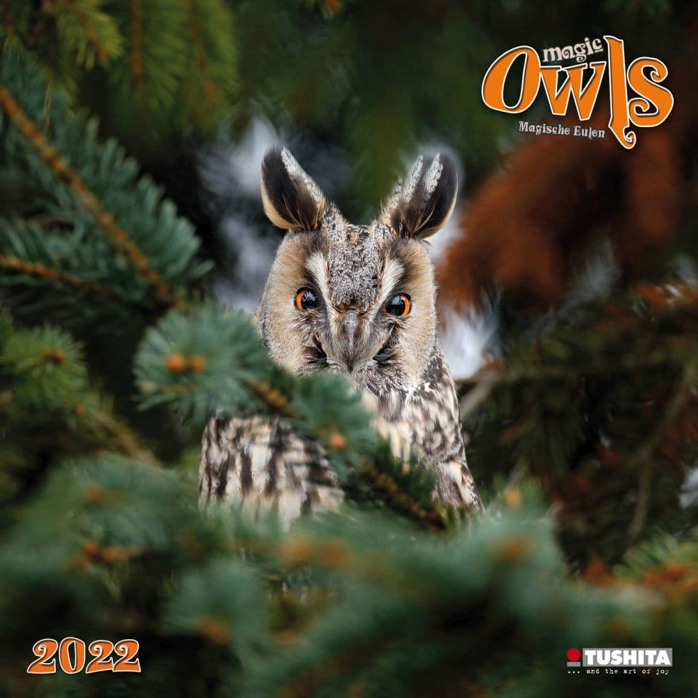 Magic Owls 2022 Wall Calendar