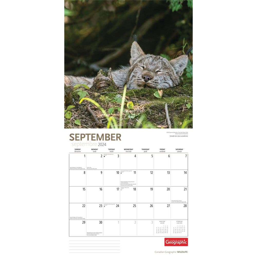 Wildlife 2024 Wall Calendar September