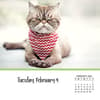 image Cats And Kittens 2025 Desk Calendar