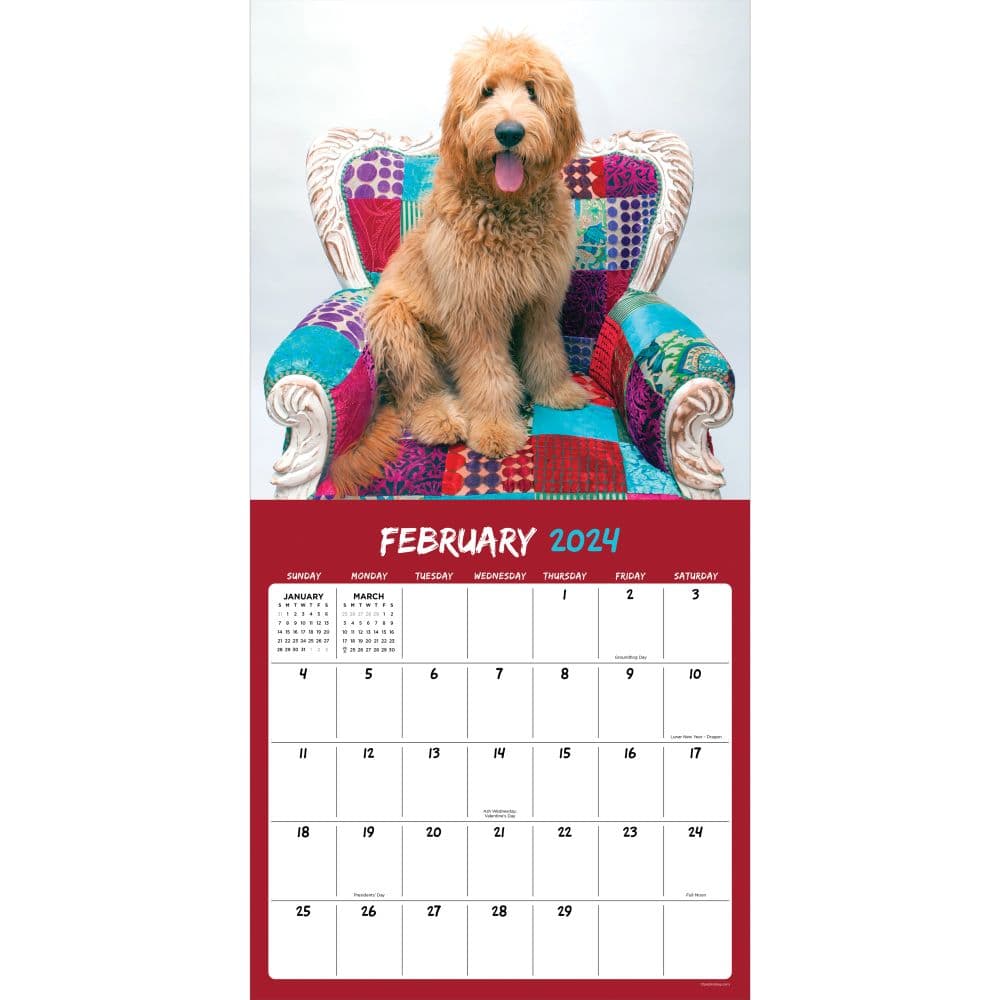 Mutts 2024 Wall Calendar - Calendars.com