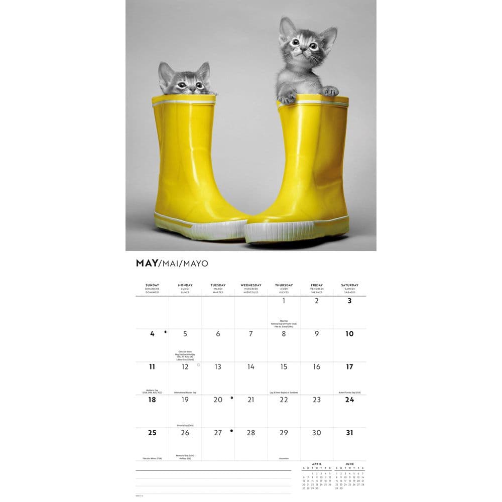 Classic Cats 2025 Wall Calendar Third Alternate Image width=&quot;1000&quot; height=&quot;1000&quot;