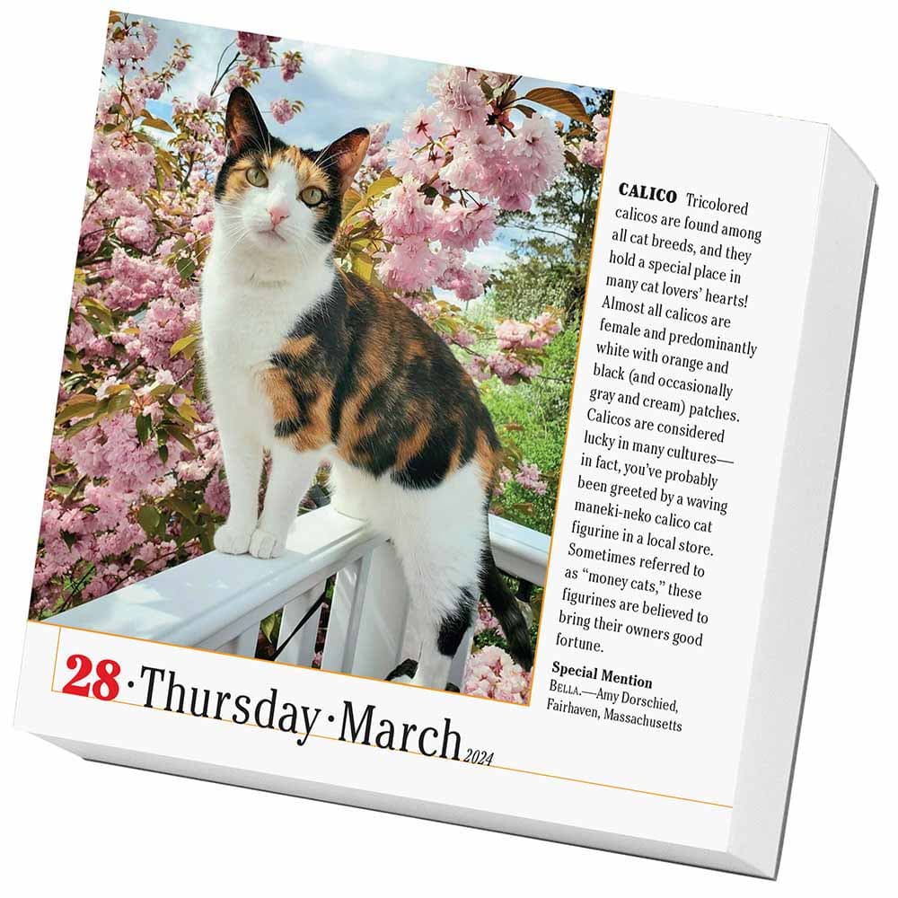 365 Cats 2024 PageADay Desk Calendar