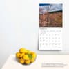 image Vermont Wild and Scenic 2024 Wall Calendar Third Alternate  Image width=&quot;1000&quot; height=&quot;1000&quot;