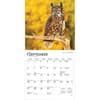 image Owls 2026 Mini Wall Calendar