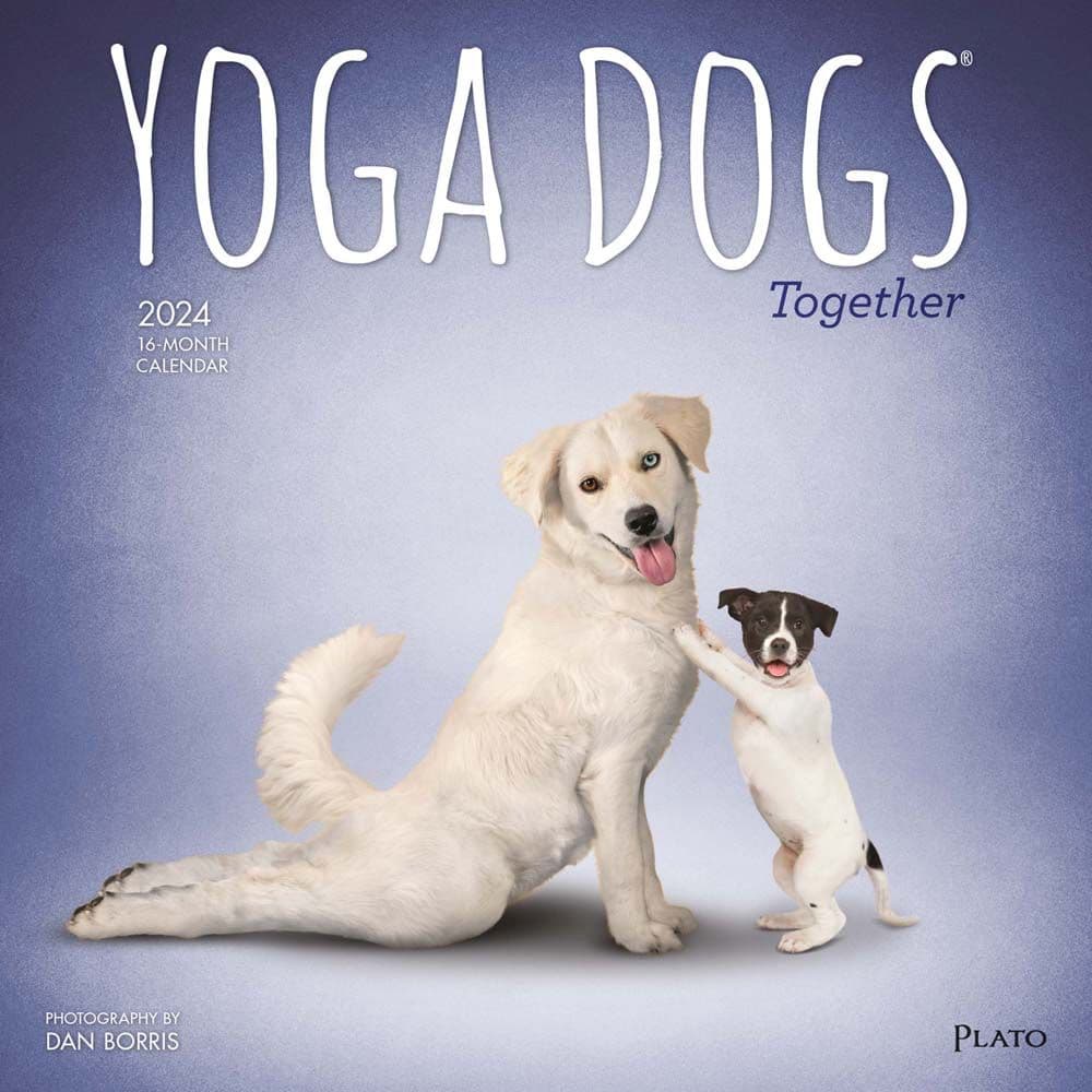 Yoga Dogs Together 2024 Wall Calendar Main Product Image width=&quot;1000&quot; height=&quot;1000&quot;