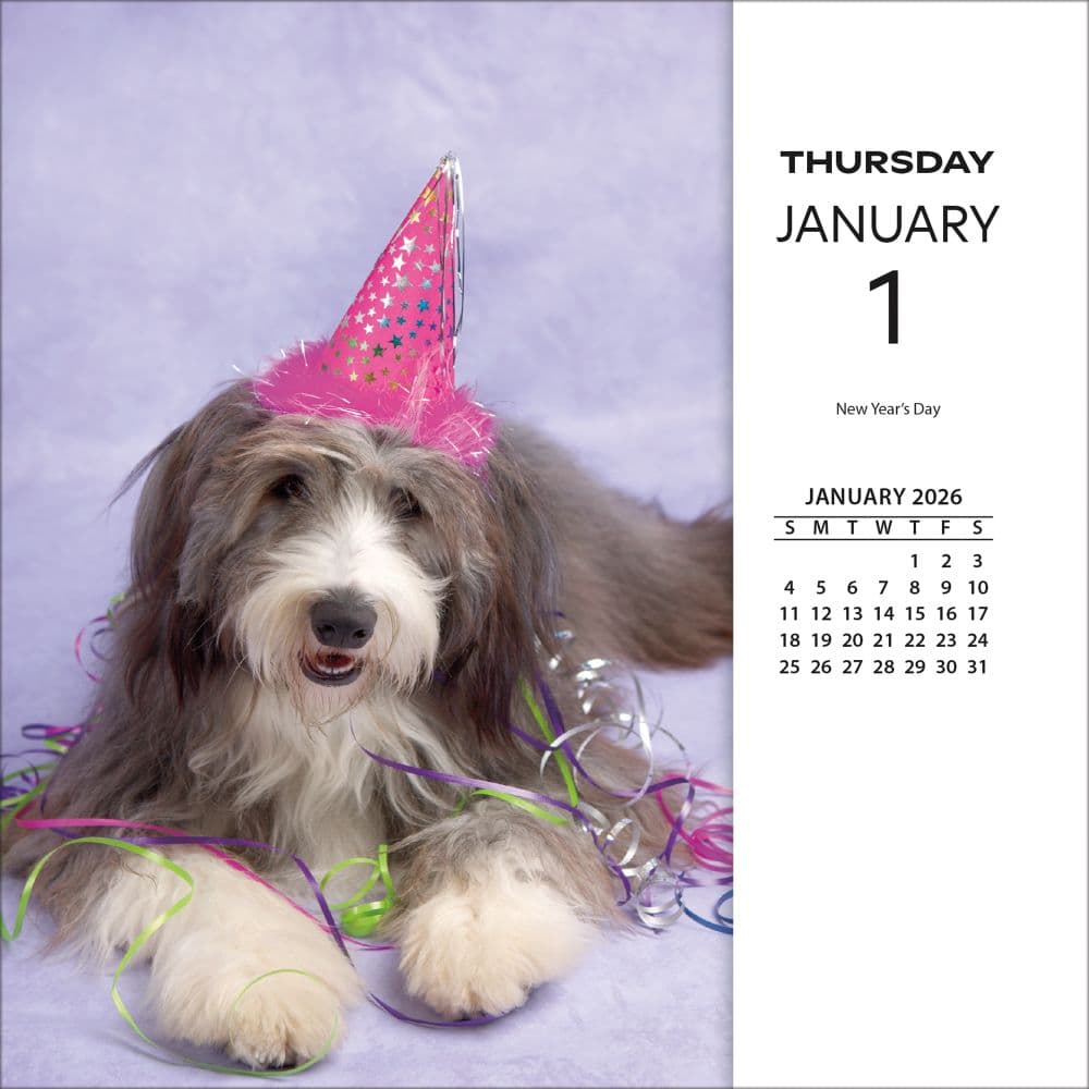 Rachael Hale Loveable Animals 2026 Desk Calendar Third Alternate Image
