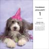 image Rachael Hale Loveable Animals 2026 Desk Calendar Third Alternate Image