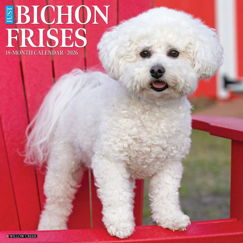 Just Bichons Frises 2026 Wall Calendar Main Image