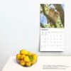 image Owls 2025 Wall Calendar Fourth Alternate Image