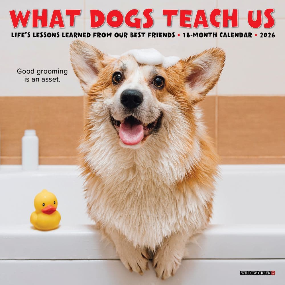 What Dogs Teach Us 2026 Mini Wall Calendar Main Image