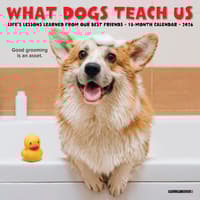 image What Dogs Teach Us 2026 Mini Wall Calendar Main Image