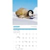image Penguins 2026 Wall Calendar Third Alternate Image