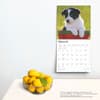 image Border Collie Puppies 2025 Wall Calendar Third Alternate Image width=&quot;1000&quot; height=&quot;1000&quot;