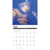 image Jellyfish 2026 Wall Calendar