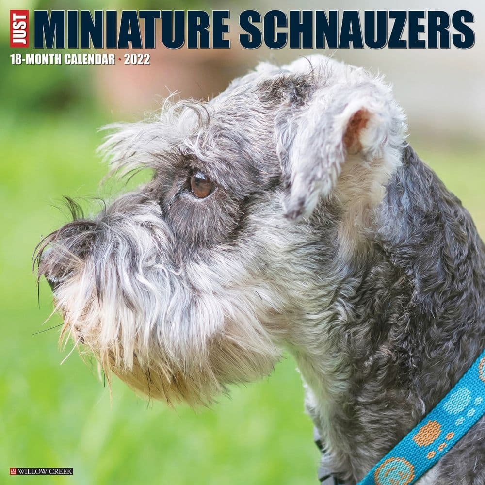 Schnauzer Miniature 2022 Wall Calendar
