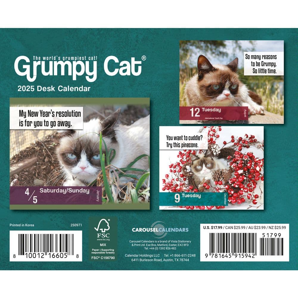 Grumpy Cat 2025 Desk Calendar - Calendars.com