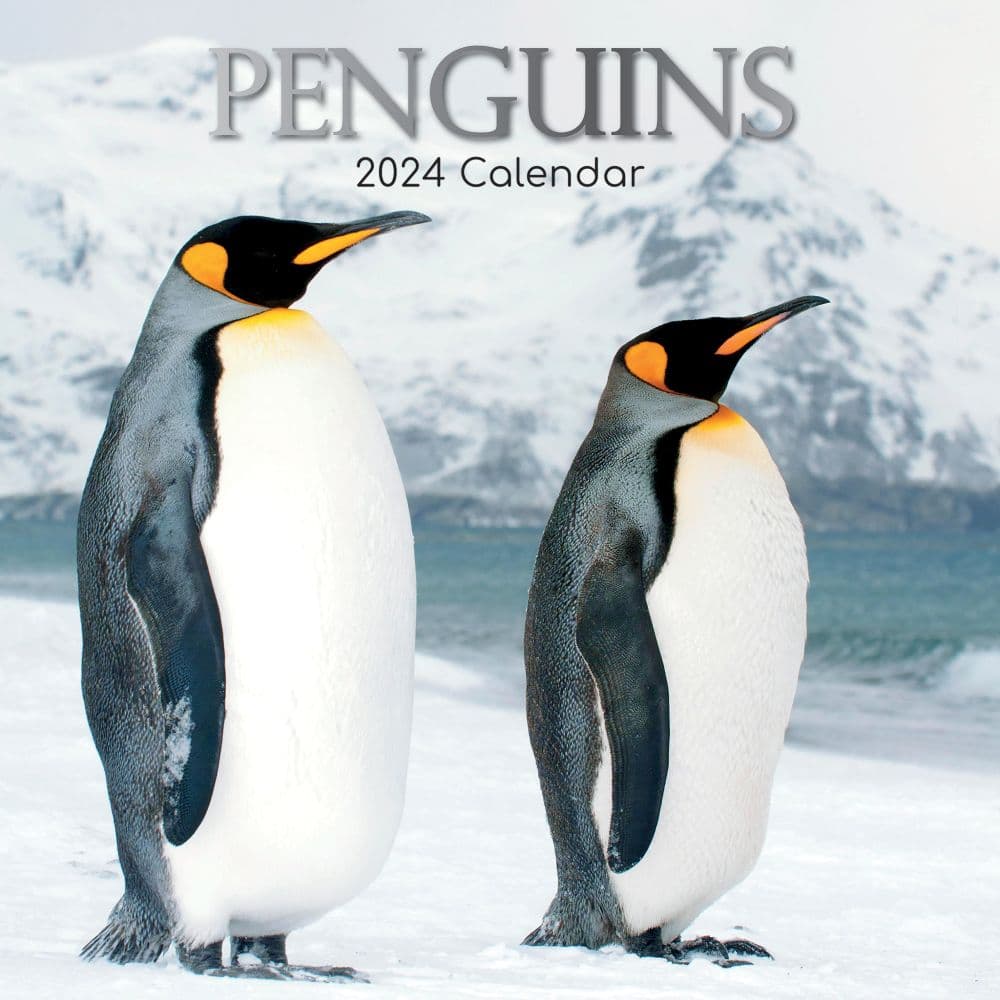 Penguins 2024 Wall Calendar - Calendars.com
