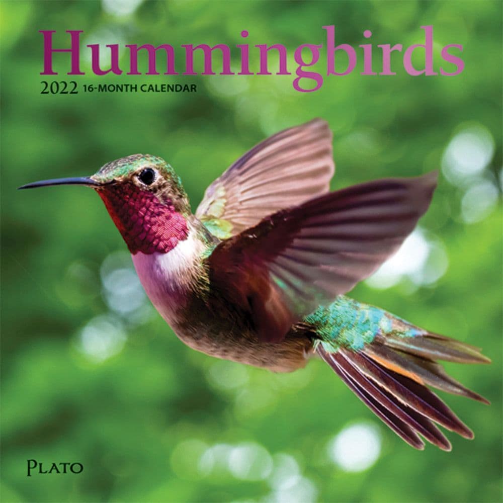 Hummingbirds Plato 2022 Mini Wall Calendar - Calendars.com